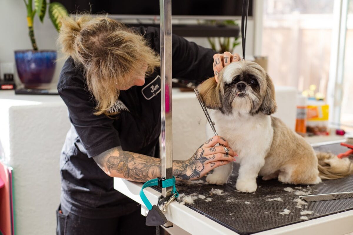 services-img-02 A woman expertly grooms a Shih Tzu using scissors in a pet grooming salon.